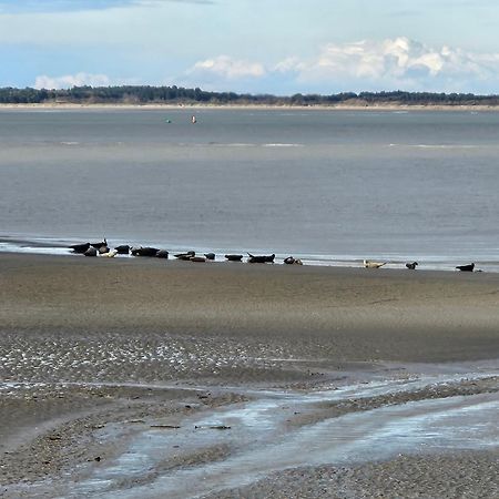 Bed and Breakfast L'Instant Cayeux-sur-Mer Exterior foto